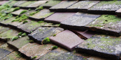 Horseheath roof repair costs